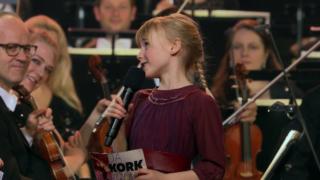 Norjan sinfoniaorkesterin kyläkonsertti: 23.05.2016 17.11